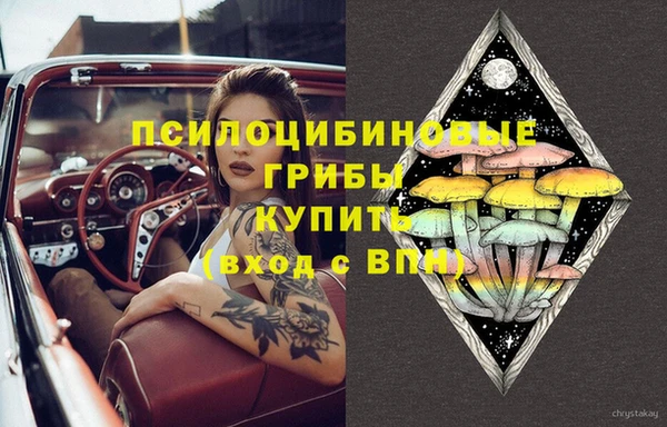 мдпв Абдулино