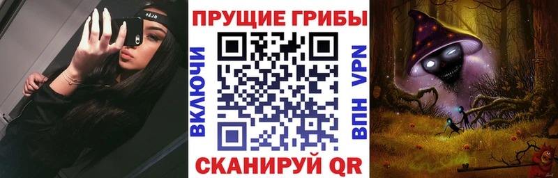 Галлюциногенные грибы GOLDEN TEACHER купить наркотики цена Остров
